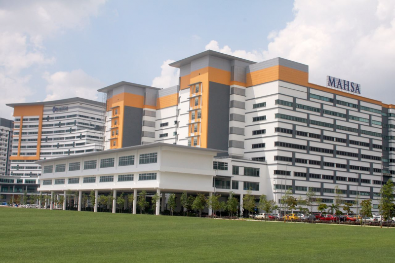 Mahsa University